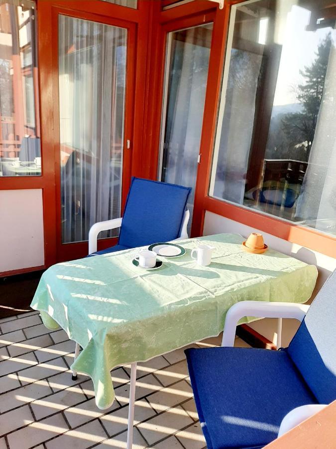 Apartment Anja Schluchsee Buitenkant foto